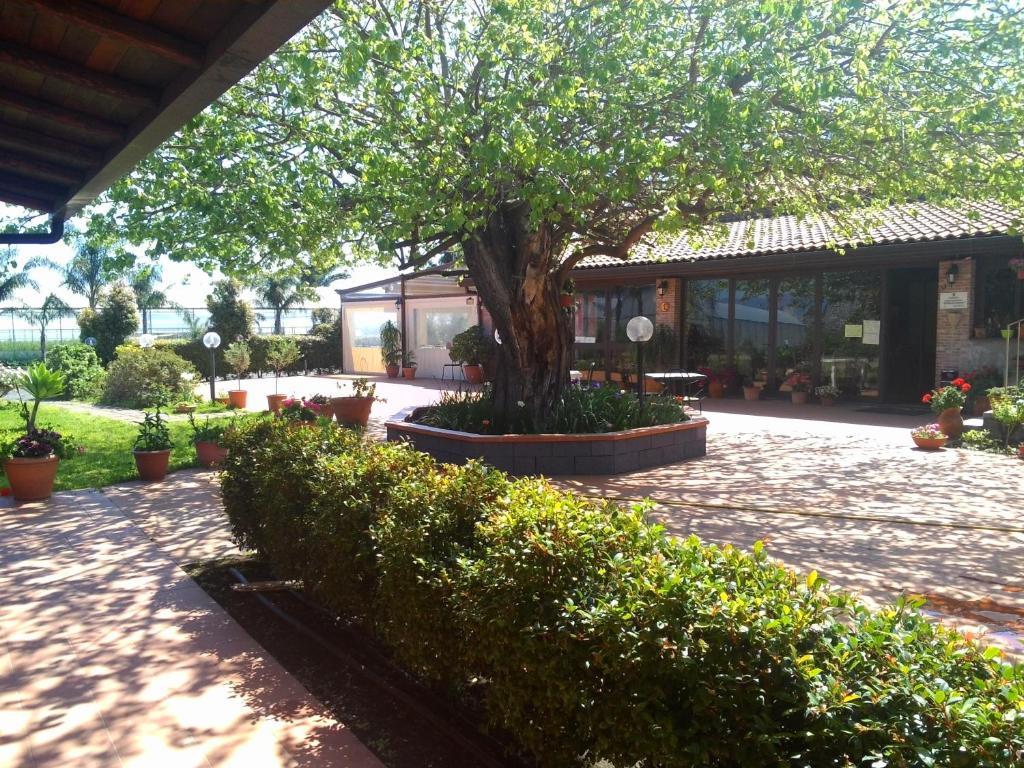 Agriturismo Il Pozzo Antico Mascali Esterno foto